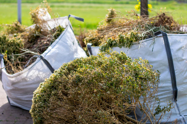 Best Local Junk Hauling  in Koloa, HI
